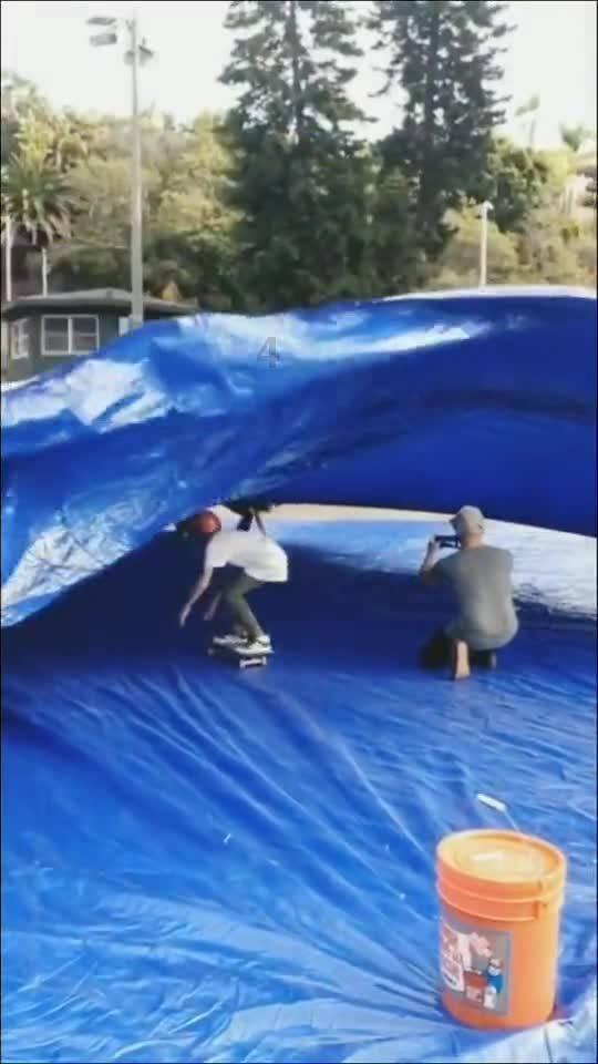 首届玉林“佼佼街”迎春花事持续至2月